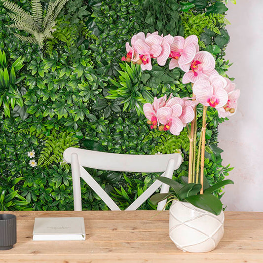 Phalaenopsis Orchid Real Touch 3Stem Potted Hot Pink (60cmH)