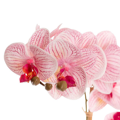 Phalaenopsis Orchid Real Touch 3Stem Potted Hot Pink (60cmH)