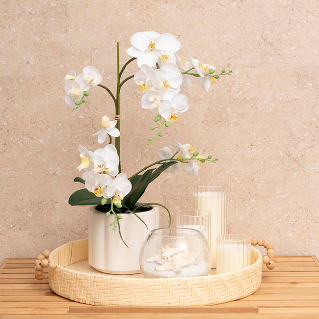 Phalaenopsis Orchid Real Touch 2 Stem Potted White (47cmH)