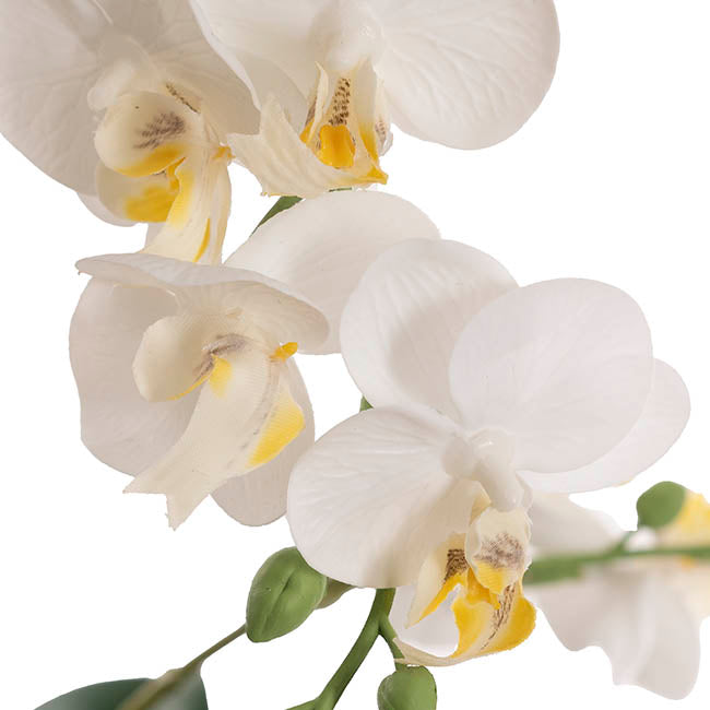 Phalaenopsis Orchid Real Touch 6 Stem Potted White (57cmH)