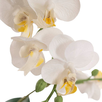 Phalaenopsis Orchid Real Touch 6 Stem Potted White (57cmH)