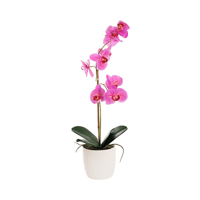 Phalaenopsis Orchid Potted Single Real Touch Fuchsia (48cmH)