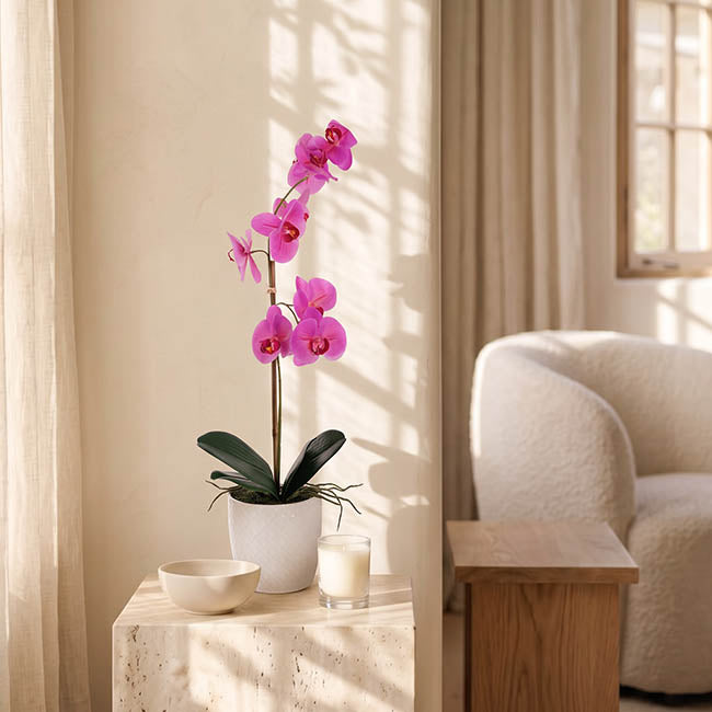 Phalaenopsis Orchid Potted Single Real Touch Fuchsia (48cmH)