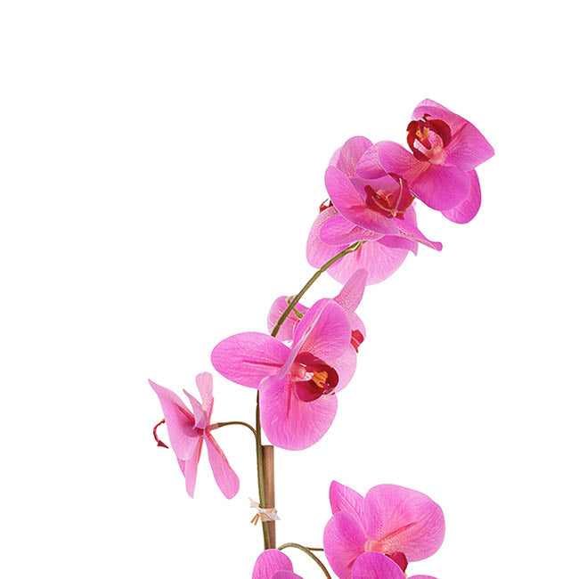 Phalaenopsis Orchid Potted Single Real Touch Fuchsia (48cmH)