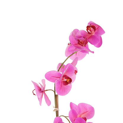 Phalaenopsis Orchid Potted Single Real Touch Fuchsia (48cmH)