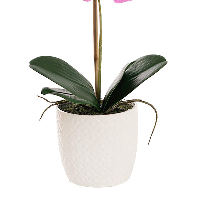 Phalaenopsis Orchid Potted Single Real Touch Fuchsia (48cmH)