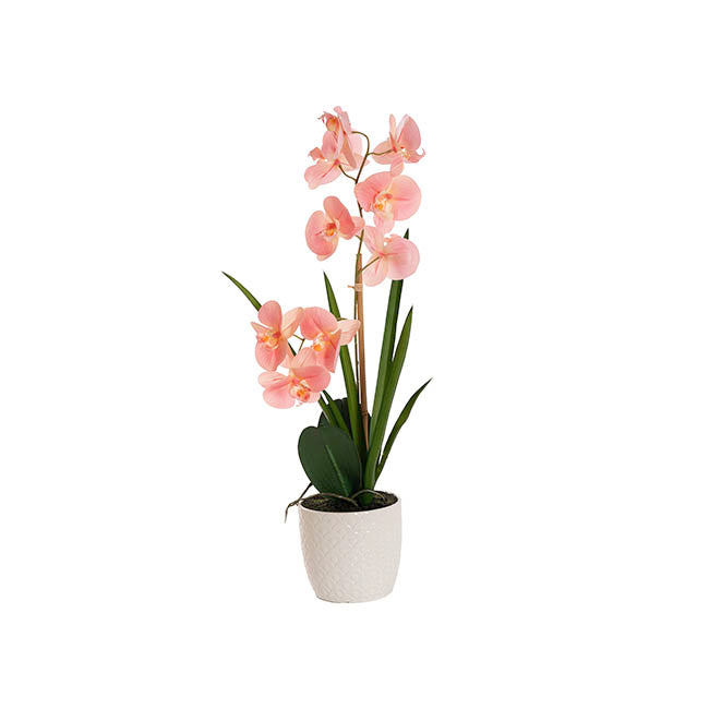 Phalaenopsis Orchid Potted Single Real Touch Pink (48cmH)
