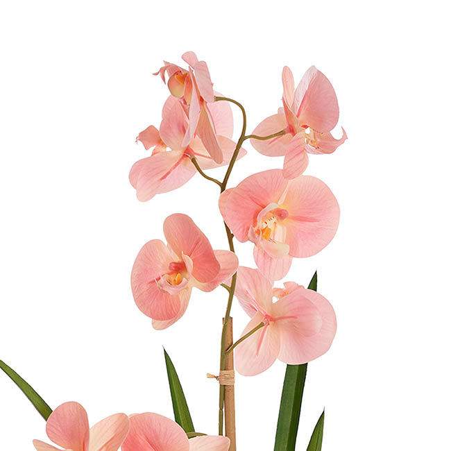 Phalaenopsis Orchid Potted Single Real Touch Pink (48cmH)