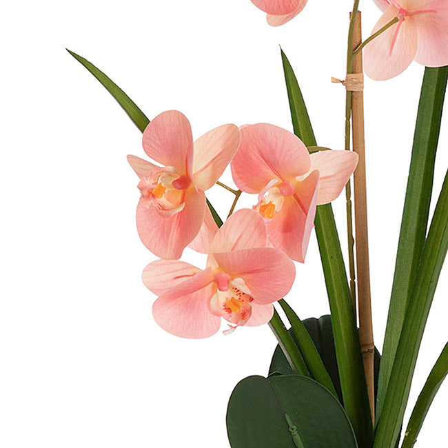 Phalaenopsis Orchid Potted Single Real Touch Pink (48cmH)