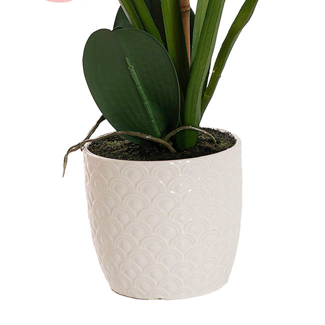 Phalaenopsis Orchid Potted Single Real Touch Pink (48cmH)