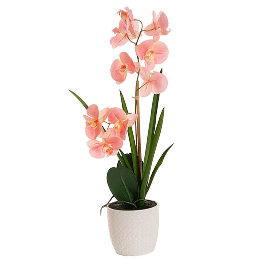 Phalaenopsis Orchid Potted Single Real Touch Pink (48cmH)
