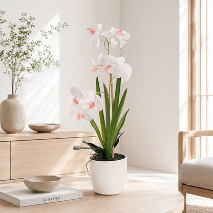 Phalaenopsis Orchid Potted Single Real Touch White (48cmH)