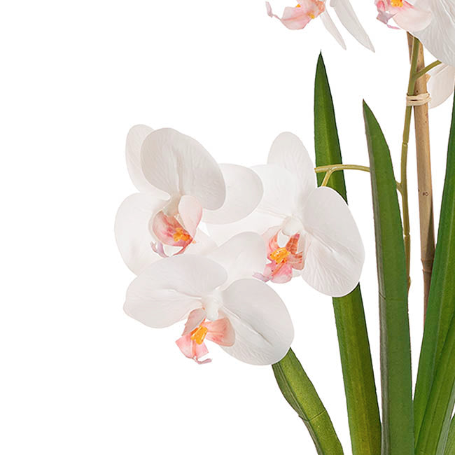 Phalaenopsis Orchid Potted Single Real Touch White (48cmH)