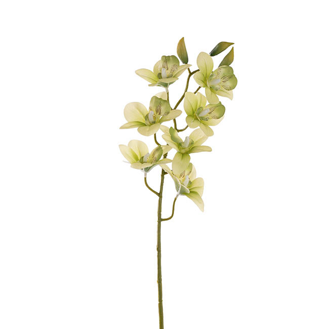 Dendrobium Orchid Stem 7 Heads Real Touch Green (64cmH)