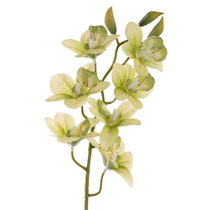 Dendrobium Orchid Stem 7 Heads Real Touch Green (64cmH)