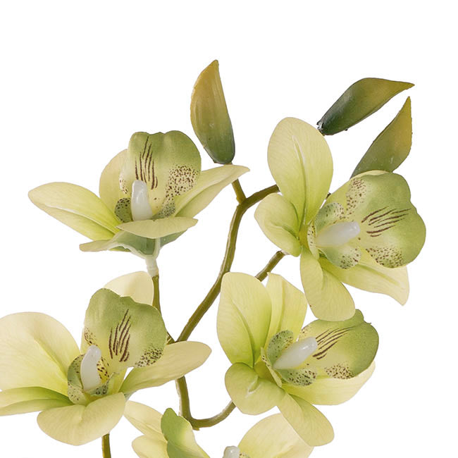 Dendrobium Orchid Stem 7 Heads Real Touch Green (64cmH)