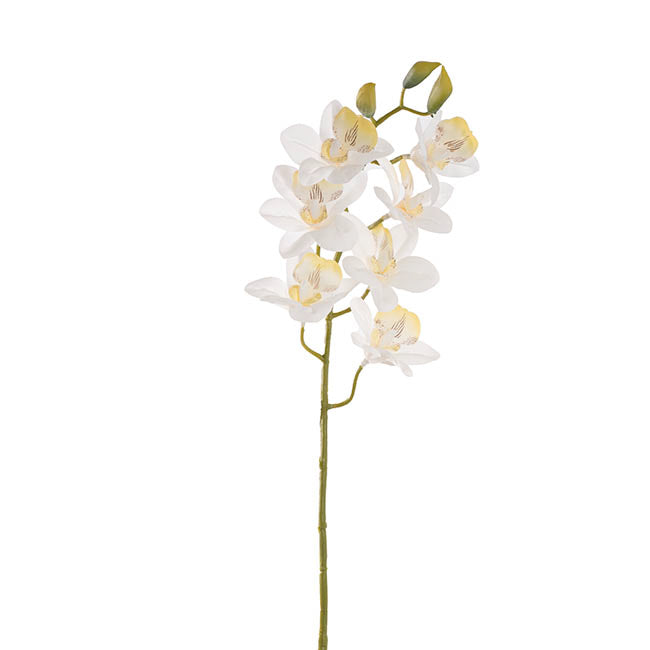 Dendrobium Orchid Stem 7 Heads Real Touch White (64cmH)
