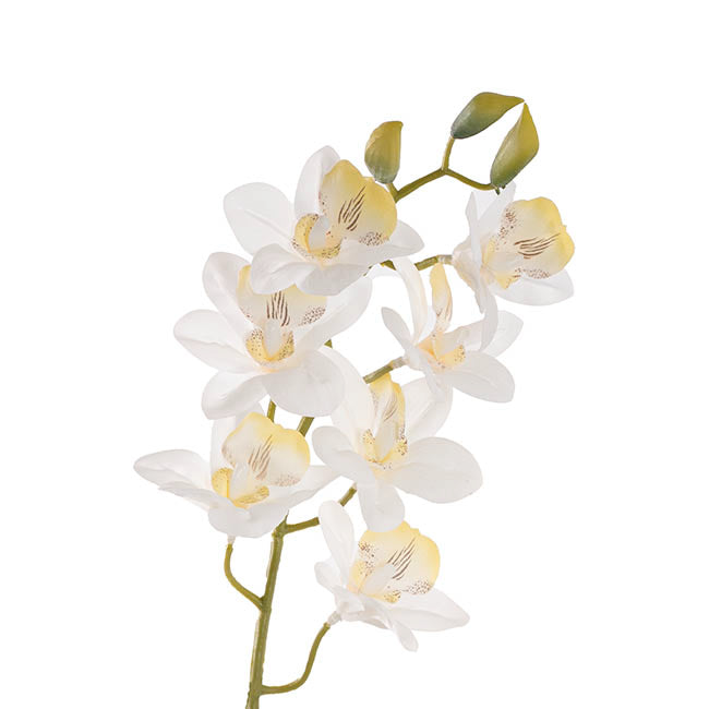 Dendrobium Orchid Stem 7 Heads Real Touch White (64cmH)