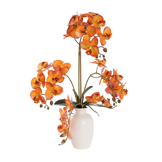 Elegant Potted Phalaenopsis Orchid Real Touch Orange (61cmH)