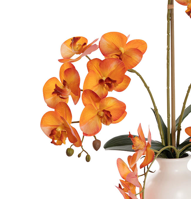 Elegant Potted Phalaenopsis Orchid Real Touch Orange (61cmH)