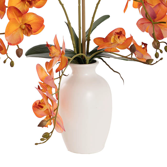 Elegant Potted Phalaenopsis Orchid Real Touch Orange (61cmH)