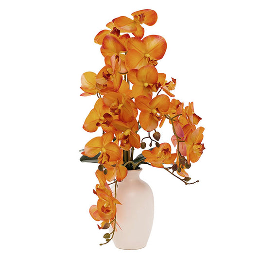 Elegant Potted Phalaenopsis Orchid Real Touch Orange (61cmH)