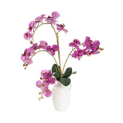 Elegant Potted Phalaenopsis Orchid Real Touch Purple (61cmH)