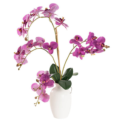 Elegant Potted Phalaenopsis Orchid Real Touch Purple (61cmH)
