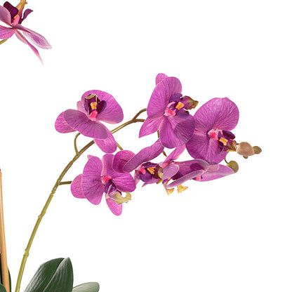 Elegant Potted Phalaenopsis Orchid Real Touch Purple (61cmH)