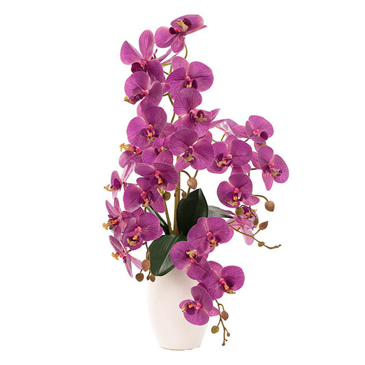 Elegant Potted Phalaenopsis Orchid Real Touch Purple (61cmH)