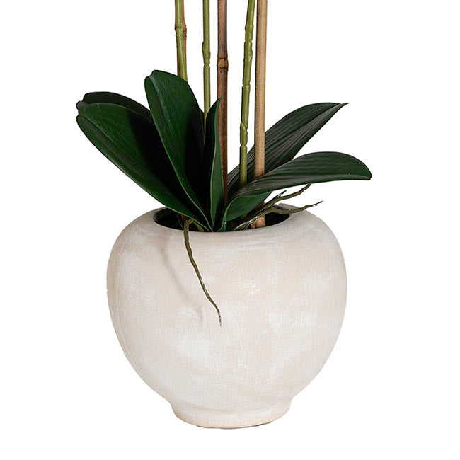 Classic Potted Phalaenopsis Orchid Real Touch White (60cmH)