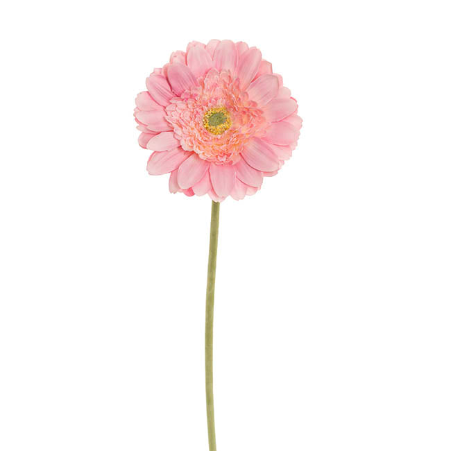 Gerbera Revolution Stem Soft Pink (13cmDx65cmH)