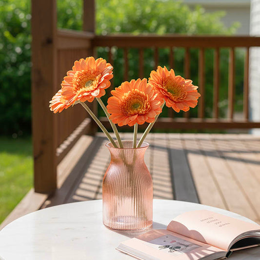 Gerbera Revolution Stem Apricot (13cmDx65cmH)