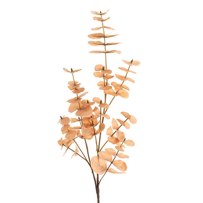 Eucalyptus Large Leaf Spray Soft Brown (88cmH)