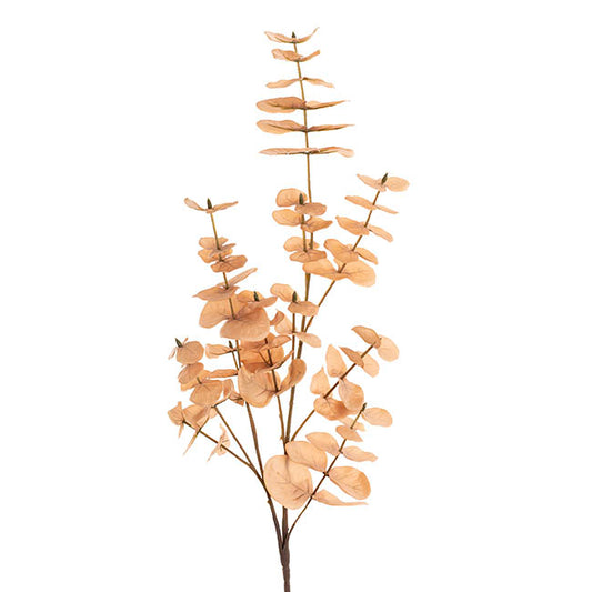 Eucalyptus Large Leaf Spray Soft Brown (88cmH)