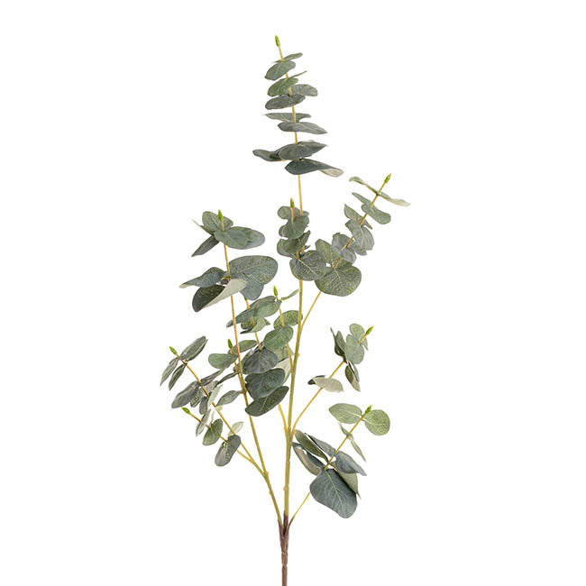 Eucalyptus Large Leaf Spray Green (88cmH)