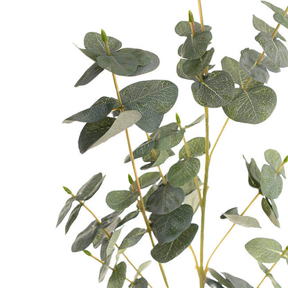 Eucalyptus Large Leaf Spray Green (88cmH)