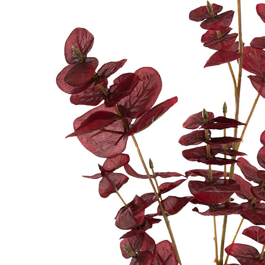 Eucalyptus Large Leaf Spray Wine (88cmH)
