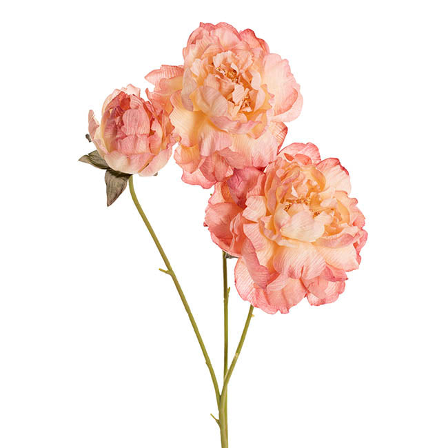 Peony x3 Head Spray Coral Peach (77cmH)