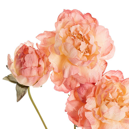Peony x3 Head Spray Coral Peach (77cmH)