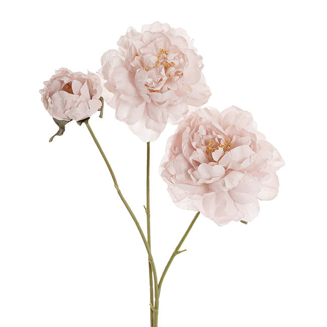 Peony x3 Head Spray Nude Pink (77cmH)