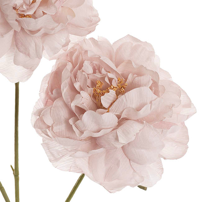 Peony x3 Head Spray Nude Pink (77cmH)
