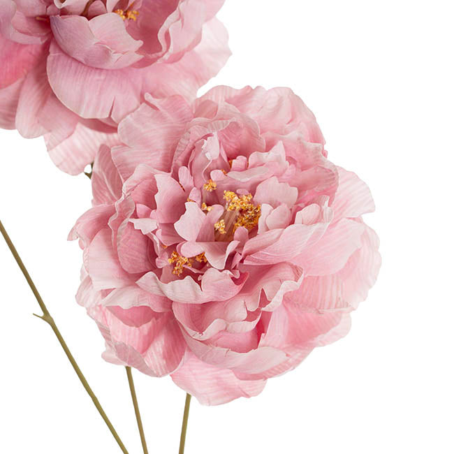 Peony x3 Head Spray Pink (77cmH)