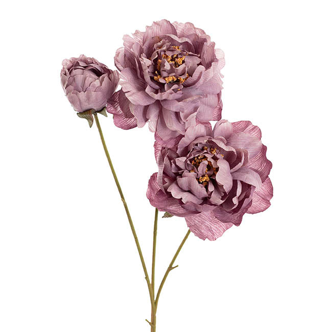 Peony x3 Head Spray Purple (77cmH)