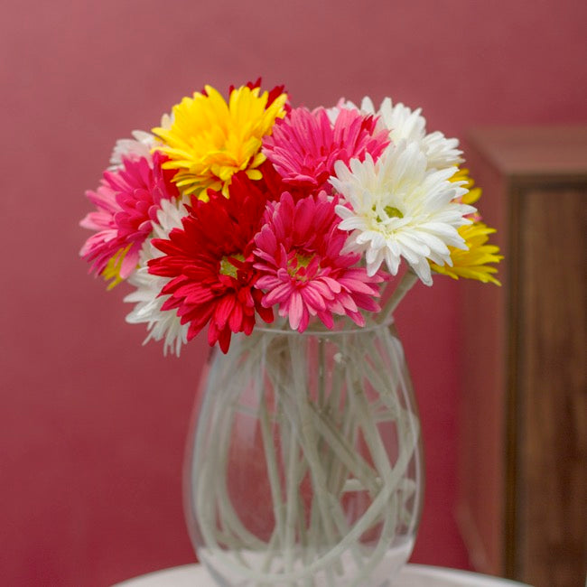 Gerbera Aztec Bright Yellow (10cmDx54cmH)