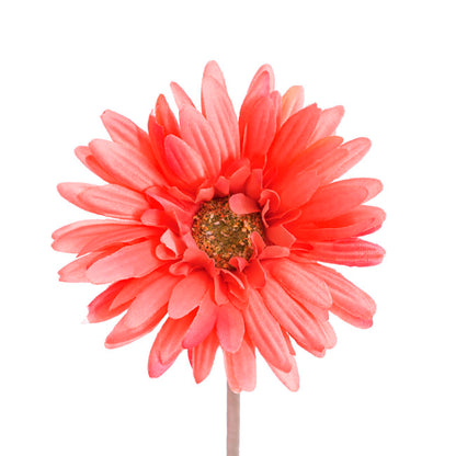 Gerbera Aztec Coral Pink (10cmDx54cmH)