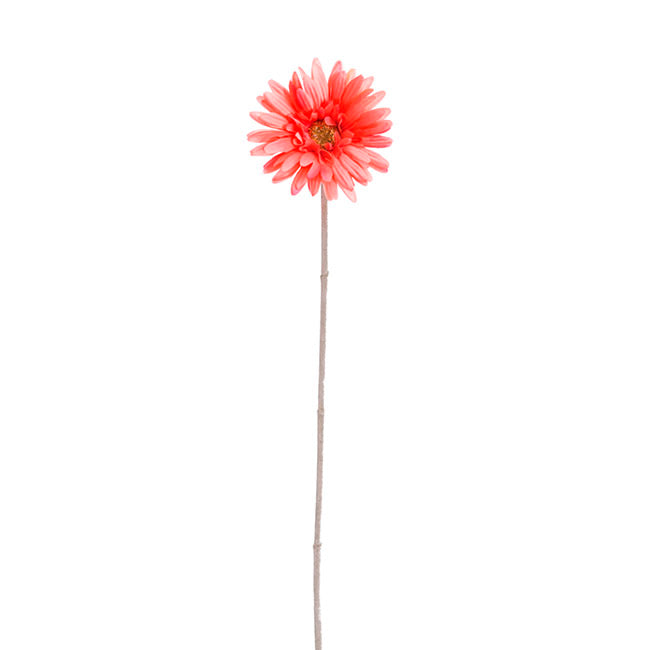Gerbera Aztec Coral Pink (10cmDx54cmH)