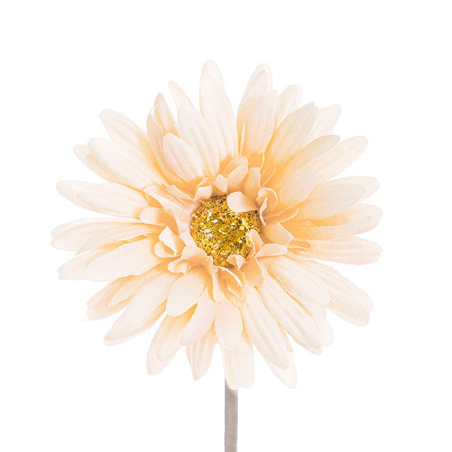 Gerbera Aztec Buttercream (10cmDx54cmH)