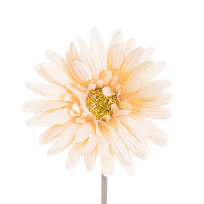 Gerbera Aztec Buttercream (10cmDx54cmH)