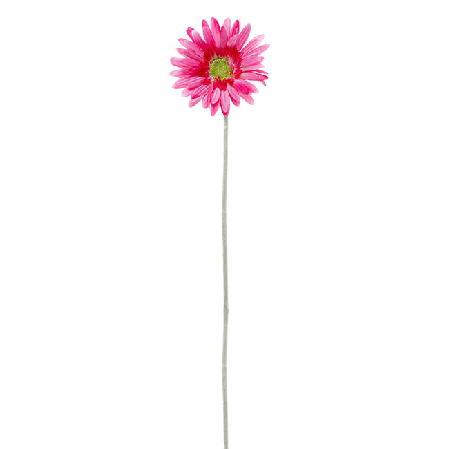 Gerbera Aztec Hot Pink (10cmDx54cmH)